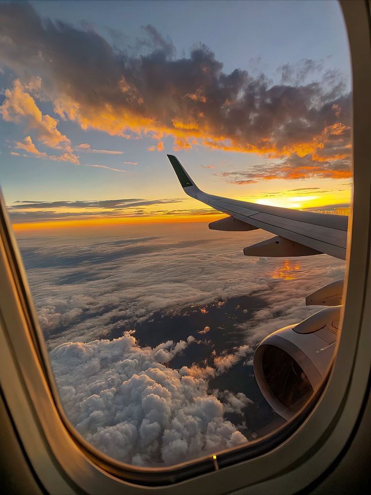 Ala avió