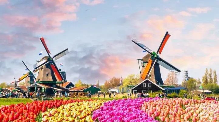 Molins de Zaanse Schans, Amsterdam